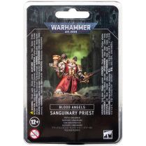Blood Angels: Sanguinary Priest